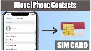 How to Move iPhone Contacts to SIM  Backup iPhone contacts to Sim Card [upl. by O'Donoghue]