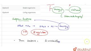 Chemoautotrophs derive their energy from [upl. by Daisie]