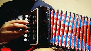 Aerolíneas Carrillo  Mini Acordeon  Tutorial [upl. by Ahsyek]