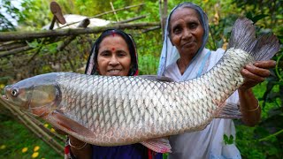 পুকুর থেকে 46kg ওজনের মাছ ধরে রান্না  46kg fish catch and cook in village style  villfood [upl. by Georg629]