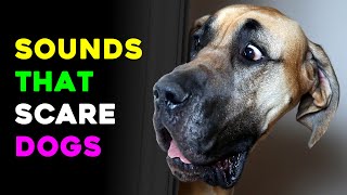 Sounds that Dogs Hate 🐕🐕 Sound that Scare Dogs [upl. by Eta843]