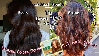 STREAX Golden Blonde 73 Hair Colour Review amp Demo How To Do Hair Colour At Home streaxcolor hair [upl. by Neo313]