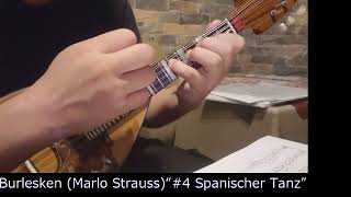 【Mandolin】Burlesken Marlo Strauss “4 Spanischer Tanz” [upl. by Lindsley606]