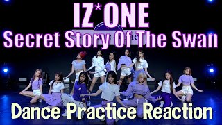 IZONE 아이즈원  Secret Story Of The Swan 환상동화  Dance Practice Reaction [upl. by Peoples]