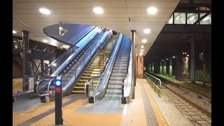 Denmark Copenhagen Central Station 2X escalator [upl. by Reich]