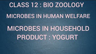 Microbes in Household product  Yogurt  Microbes in human welfare  Class 12  Tamil [upl. by Farny345]