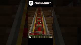 Mole People  The Assassinator Roller Coaster minecraft [upl. by Rickey712]