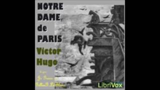 Notre Dame de Paris 13  Victor Hugo  AudioBook FR [upl. by Hardman614]