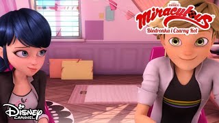 Teorie fanów Tata  Miraculous Biedronka i Czarny Kot  Tylko w Disney Channel [upl. by Cheffetz]