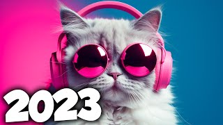 A MELHOR MUSICA ELETRONICA 2023 🔥 MÚSICAS ELETRÔNICAS MAIS TOCADAS  Alok Tiesto amp David Guetta [upl. by Qerat]