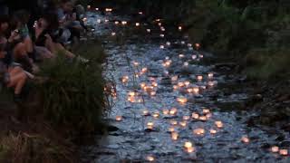 Candles Down the River  Lyme Regis [upl. by Aihtnyc660]