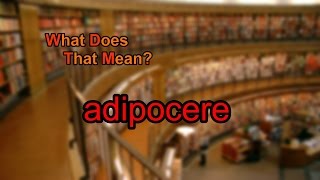 What does adipocere mean [upl. by Bryner]