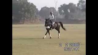 Lt Col Rajesh PattuSJRPVSM astride his horse Shahzada Jumping a single swordmpg TRICK JUMPING [upl. by Nylaret27]