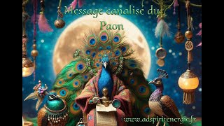 Message canalisé du Paon [upl. by Carlene860]