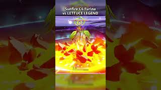 Sunfire C6 FURINA vs LETTUCE LEGEND [upl. by Eibbed126]