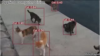 object detection  cat detection [upl. by Elleined]