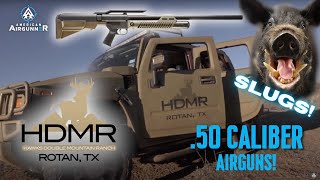 Hunting Hogs in Texas with Airguns Umarex Hammer 50 [upl. by Marci]