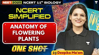 🔥NEET 2025 Anatomy of flowering Plants 🌱  ONE SHOT  NCERT Simplified  Deepika [upl. by Rhine411]