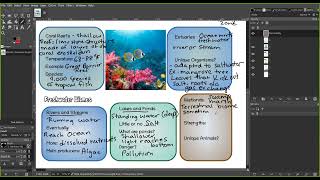 Biology  Module 3  Class Notes p 56 New [upl. by Annocahs504]