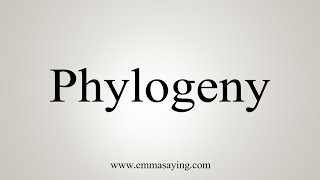 How To Say Phylogeny [upl. by Acirtap]