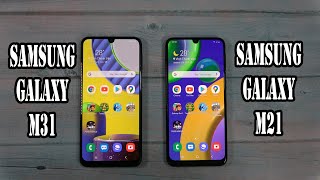 Samsung Galaxy M31 vs Samsung Galaxy M21  SpeedTest and Camera comparison [upl. by Margret450]