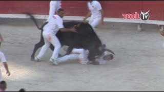 Cocarde dor Arles 2016  La séquence impressionnante [upl. by Devi]