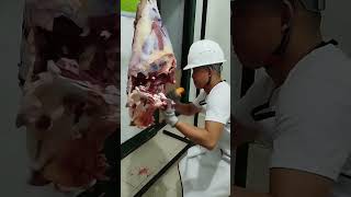 BEEF HIND QUARTER DEBONING BY REMON ROTIMAS [upl. by Lanna239]