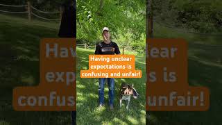 How Often Should Your Dog Heel shorts dogtrainer dogtraining [upl. by Poppo]