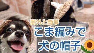 【かぎ針犬の帽子】コットン糸マリーナブークレーで立ち耳さんもかぶりやすい犬の帽子を編んでみました [upl. by Zachariah]