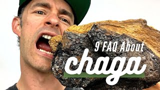 9 Things You Didnt Know About Chaga [upl. by Rez]