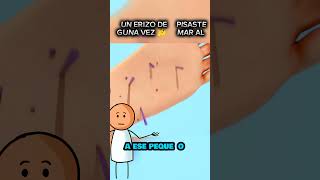 QUE PASA AL PISAR UN ERIZO DE MAR 😱 curiosidades doctors shorts [upl. by Nnair]