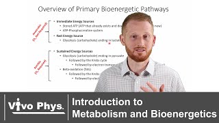 Introduction to Metabolism and Bioenergetics [upl. by Xylina]