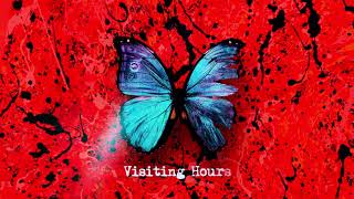 Ed Sheeran  Visiting Hours Official Lyric Video [upl. by Riti]