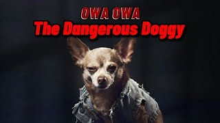 OWA OWA  The Dangerous Doggy pudgywoke  Tiktok Song by Robertgracemusic  Lyrics [upl. by Pearline]