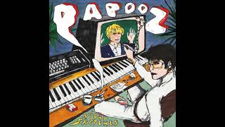 Papooz  Night Sketches Full Album 432Hz Vinyl [upl. by Eeruhs]