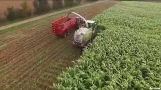 Réalisation Films Vidéo produit  Récolte Sorgho ensilage BMR de Semental [upl. by Engleman]