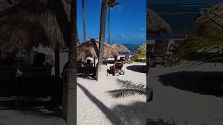 🇩🇴 Catalonia Bavaro Beach Punta Cana Dominican Rep 🌴bavaro playa beach travel puntacana [upl. by Darla]