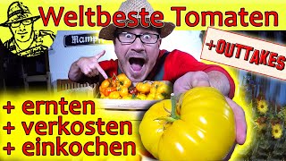 Die weltbeste Tomatensoße selber machen Mit ganz neuer Methode zum haltbar machen Pressure Canner [upl. by Ahsilaf]