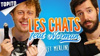 Top 8 des trucs à savoir sur les chats feat Norman [upl. by Zhang586]