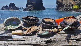 Eating RAW Abalone and BLUE Meat Cabezon  Giant Sea Snail Taste Test [upl. by Frerichs85]