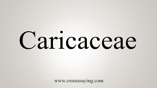 How To Say Caricaceae [upl. by Dulcea46]