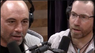 Narco Journalist Details Mexican Drug Cartel History  Joe Rogan [upl. by Etakyram]