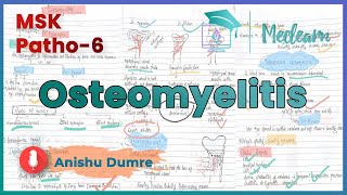 MSK Patho6  Osteomyelitis  Pathophysiology Morphology Tuberculous Osteomyelitis MEDLEARN [upl. by Ferneau482]