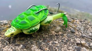 Pike Fishing with a Topwater Turtle Lunkerhunt prop turtle [upl. by Pozzy]