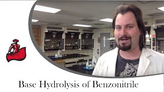 Base Hydrolysis of Benzonitrile [upl. by Atiekahs]