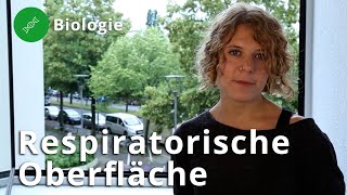 Atmung und die respiratorische Oberfläche – Biologie  Duden Learnattack [upl. by Anaihs]