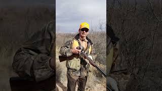 Benefits of Quail Hunting in New Mexico  The Santa Fe Guiding Co [upl. by Bohs121]