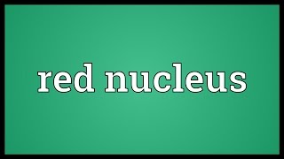 Red nucleus Meaning [upl. by Southard]