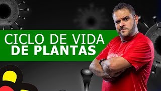 CICLO DE VIDA DE PLANTAS visão geral do ciclo haplontediplonte [upl. by Nohsad]