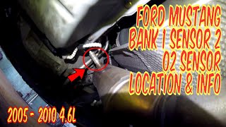 Ford Mustang Bank 1 Sensor 2 Oxygen Sensor Location  Common Codes amp Symptoms 2005  2010 V8 46L [upl. by Allveta510]